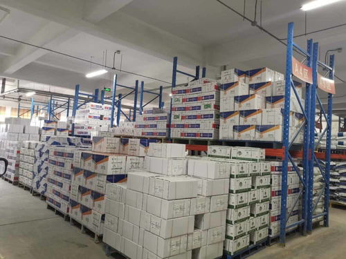 責任民企攜手政府服務，助力泰安抗疫與復工復產(chǎn)